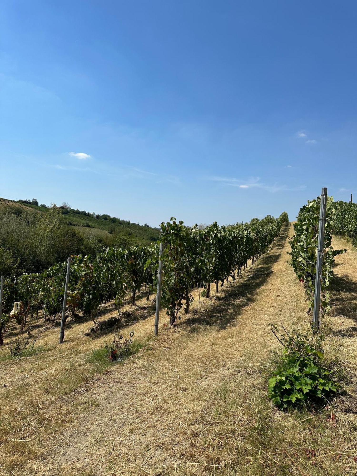 Cadgal - Tenuta La Cova Calamandrana Extérieur photo